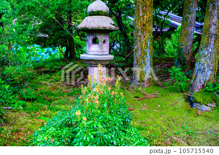 京都、白沙村荘の石灯籠 105715540