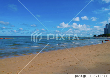 南国のビーチ 105715644