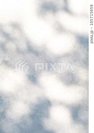 A wall with shadows from leaves. Abstract background. 105715659