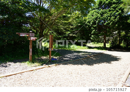 水ケ塚公園 クロスカントリーコース 水ケ塚公園 クロスカントリーコース 105715927