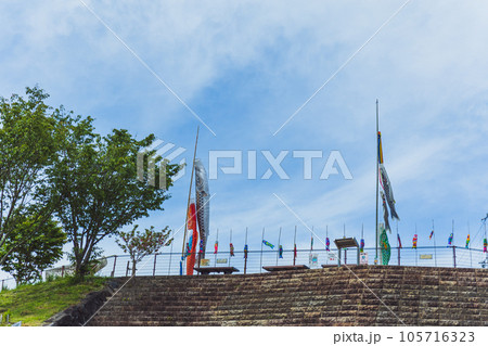 青空とこいのぼり 105716323