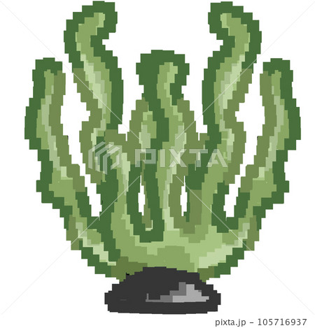 Sea food element and icon in cartoon style. Sea food element and icon in cartoon style. 105716937