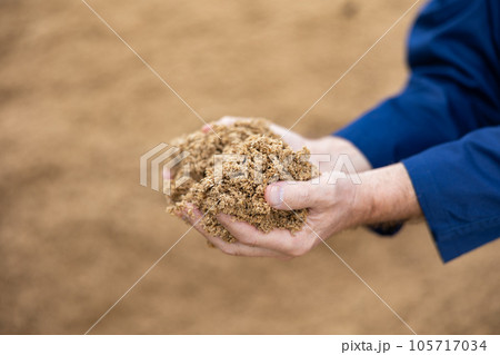 Hands of male farmworker holding handful of brewers grains Hands of male farmworker holding handful of brewers grains 105717034