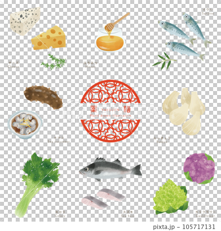 冬の薬膳-5/食材の手描きイラスト 105717131