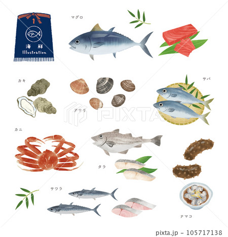 いろいろな魚の水彩風イラストセット（1） 105717138