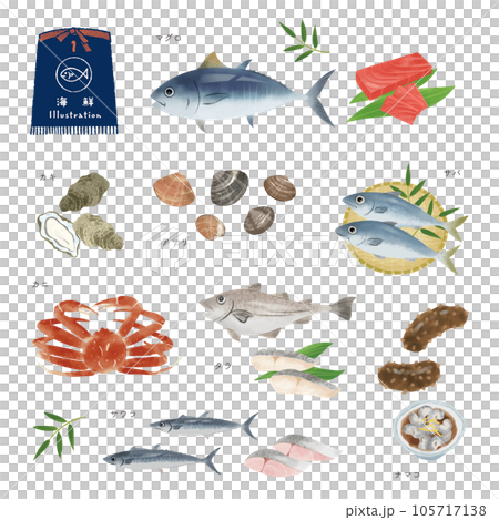 いろいろな魚の水彩風イラストセット（1） 105717138