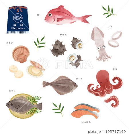 いろいろな魚の水彩風イラストセット（3） 105717140
