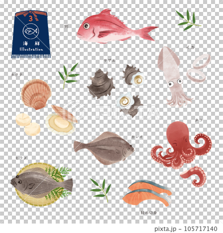 いろいろな魚の水彩風イラストセット（3） 105717140