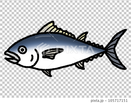 鮪・マグロ・魚 105717151
