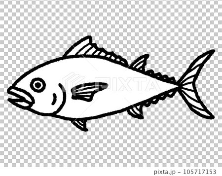 金槍魚，金槍魚，魚，線描 105717153