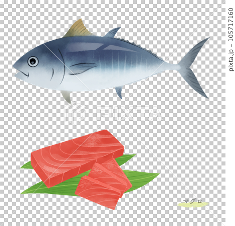 Watercolor style illustration of tuna and tuna fence 105717160
