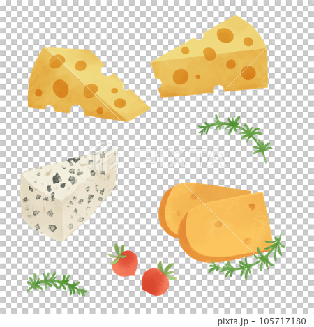 不同種類的奶酪的插圖 105717180