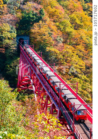 秋の黒部峡谷:新山彦橋を走るトロッコ電車 秋の黒部峡谷:新山彦橋を走るトロッコ電車 105717602