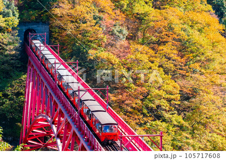 秋の黒部峡谷:新山彦橋を走るトロッコ電車 秋の黒部峡谷:新山彦橋を走るトロッコ電車 105717608