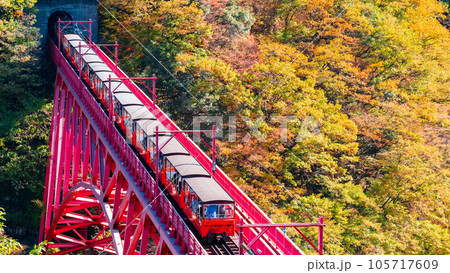 秋の黒部峡谷:新山彦橋を走るトロッコ電車 秋の黒部峡谷:新山彦橋を走るトロッコ電車 105717609