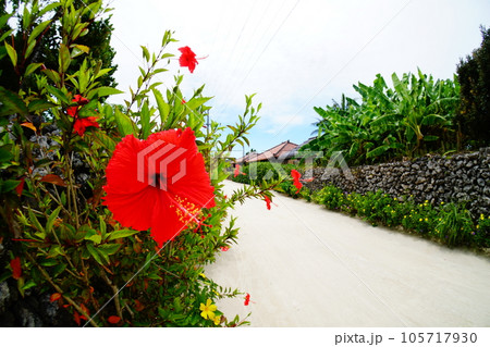 竹富島の風景 105717930