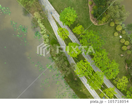Aerial view of beautiful park in spring, China Aerial view of beautiful park in spring, China 105718054