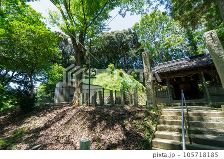 《福岡県》竹原古墳（たけはらこふん）・国指定文化財 105718185