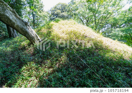 《福岡県》竹原古墳(たけはらこふん)・国指定文化財 《福岡県》竹原古墳(たけはらこふん)・国指定文化財 105718194