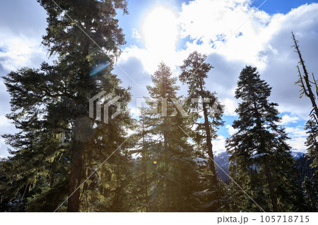 Aerial view of beautiful high altitude forest mountain landscape in tibet,China Aerial view of beautiful high altitude forest mountain landscape in tibet,China 105718715