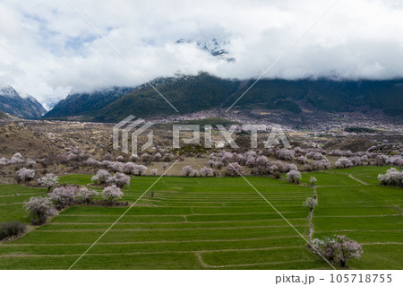 Aerial view of spring landscape in tibet, China Aerial view of spring landscape in tibet, China 105718755