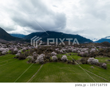 Aerial view of spring landscape in tibet, China 105718759