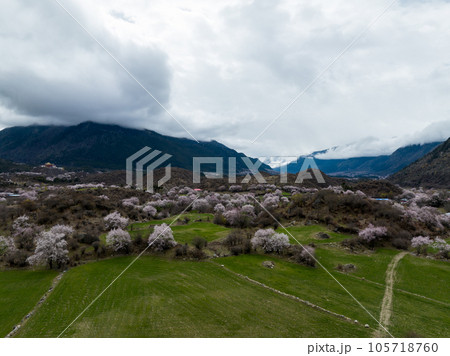 Aerial view of spring landscape in tibet, China 105718760