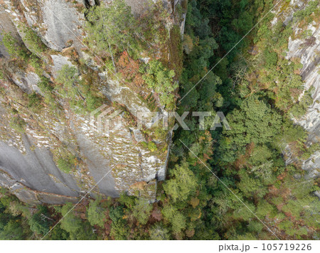 Aerial view of beautiful forest mountain landscape in tibet, China 105719226