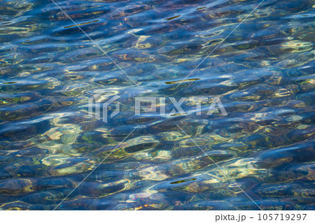 夏の午前中の日本海の海面｜背景素材｜海面イメージ 105719297
