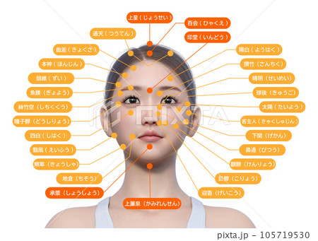 目を開けた女性の顔正面アップと顔のツボ 反射区の名称のイラスト 目を開けた女性の顔正面アップと顔のツボ 反射区の名称のイラスト 105719530