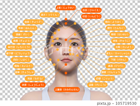Illustration of the front view of a woman with her eyes open and the names of the points on her face 105719530