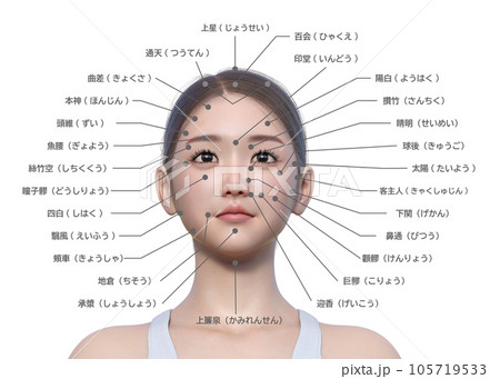 目を開けた女性と顔のツボの図解 目を開けた女性と顔のツボの図解 105719533