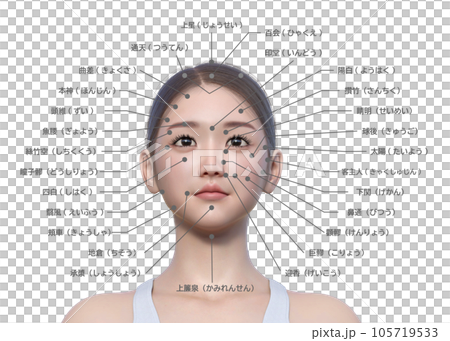 目を開けた女性と顔のツボの図解 目を開けた女性と顔のツボの図解 105719533