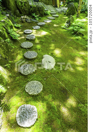 嵐山祐斎亭　美しい庭園　新緑の季節 105720004