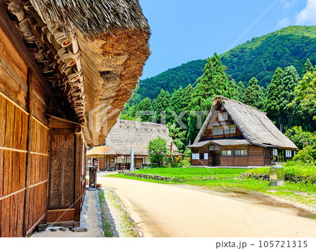 夏の五箇山・菅沼合掌造り集落 夏の五箇山・菅沼合掌造り集落 105721315