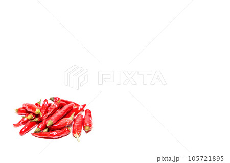 夏野菜　唐辛子　赤トウガラシ　辛い 105721895