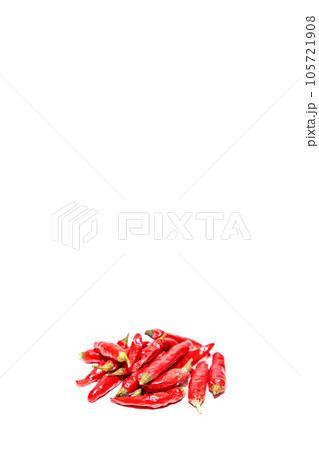 夏野菜 唐辛子 赤トウガラシ 辛い 夏野菜 唐辛子 赤トウガラシ 辛い 105721908