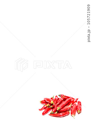 夏野菜 唐辛子 赤トウガラシ 辛い 夏野菜 唐辛子 赤トウガラシ 辛い 105721909
