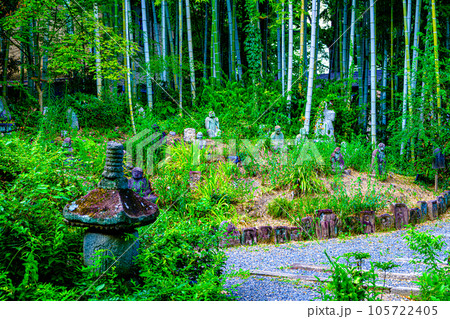 京都、白沙村荘竹藪の羅漢 京都、白沙村荘竹藪の羅漢 105722405