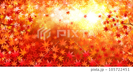 紅葉　もみじ　秋　背景	 105722451