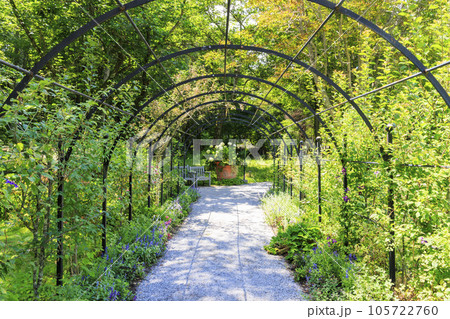 夏の花々満開の蓼科高原　バラクラ イングリッシュ ガーデン 105722760