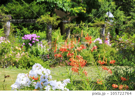 夏の花々満開の蓼科高原 バラクラ イングリッシュ ガーデン 夏の花々満開の蓼科高原 バラクラ イングリッシュ ガーデン 105722764