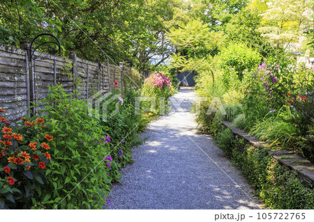 夏の花々満開の蓼科高原　バラクラ イングリッシュ ガーデン 105722765