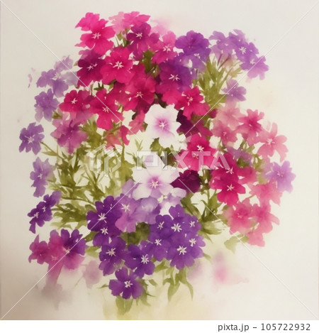 フロックスのイラスト素材 [105722932] PIXTA