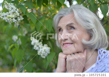 Portrait of a senior woman in a hat and blouse on the background of a blooming lilac bush 105725101