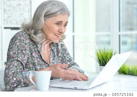 beautiful senior woman using laptop at home beautiful senior woman using laptop at home 105725102