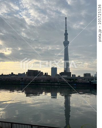 スカイツリーの見える風景 105725136