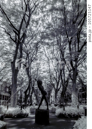 仙台定禅寺通り_2023年_赤外線写真 仙台定禅寺通り_2023年_赤外線写真 105725147