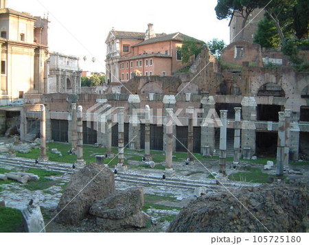 イタリア ローマの遺跡 イタリア ローマの遺跡 105725180