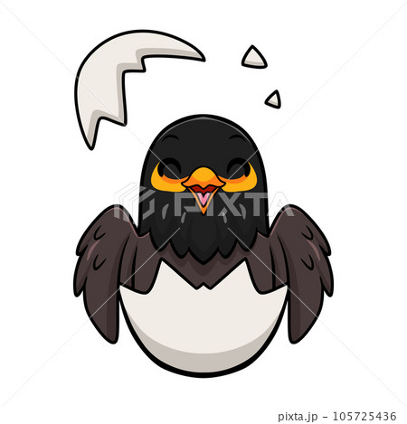 Cute myna bird cartoon inside from eggのイラスト素材 [105725436] - PIXTA